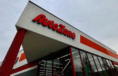 Negocio Autozone Auto Parts