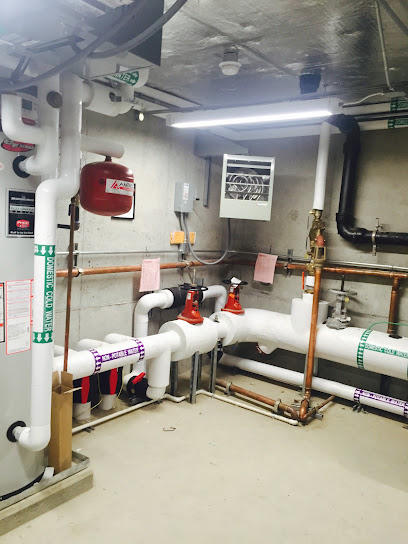 Negocio National Heat & Power Corp.