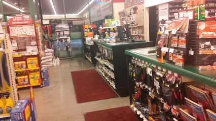 Negocio O'reilly Auto Parts